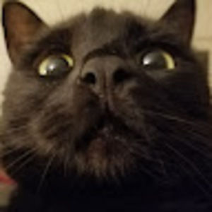 Meet your Posher, Pippin